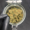 CRITICAL