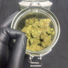 PLUTONIUM